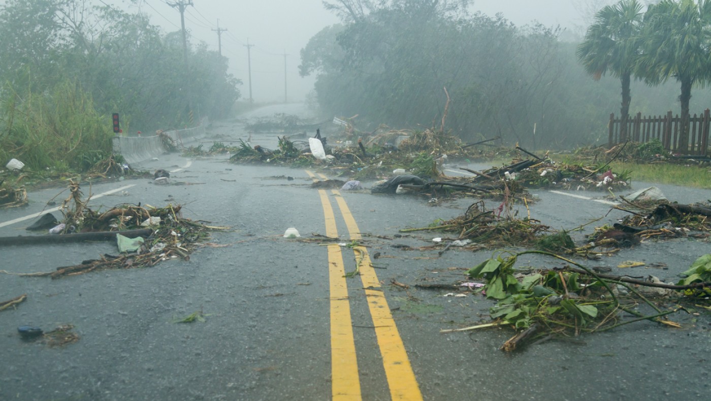 Tree limbs covering the road after a storm