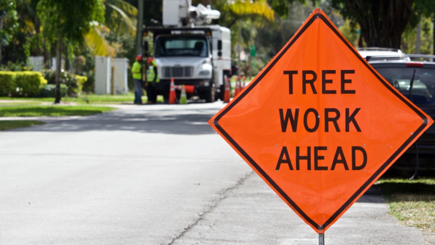 Road work sign for tree trimming ahead