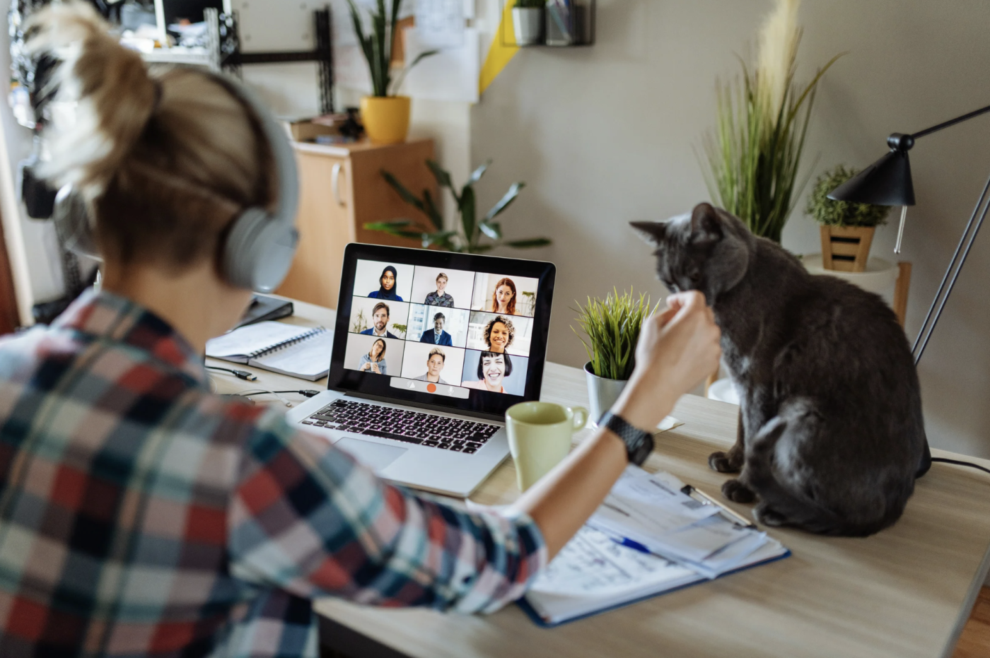 lady working from home with cat on her desk